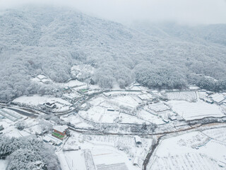 Fototapeta na wymiar 새하얀 겨울 풍경