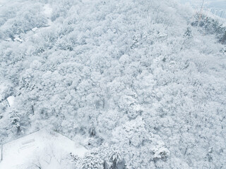 Fototapeta na wymiar 새하얀 겨울 풍경