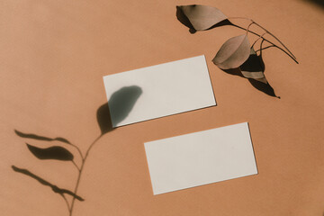 Blank paper sheet cards with mockup copy space, dry eucalyptus twig, sunlight shadows on background. Flat lay, top view minimal business brand template. 