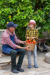 Senior man, farmer and young boy holding harvest of tomato