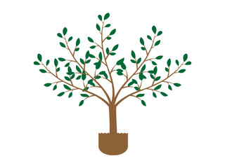 Obraz premium Abstract green tree vector design and clip art.