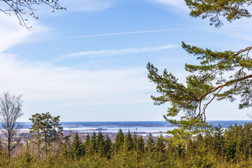 Obraz na płótnie Canvas Landscape view from a forest towards a lake