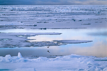 Drift ice in the arctic ocean a calm day © Lars Johansson
