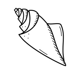 Seashell, single isolate on a white background. Vector illustration of a shell doodle sketch.