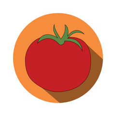 vector illustration of fresh tomato