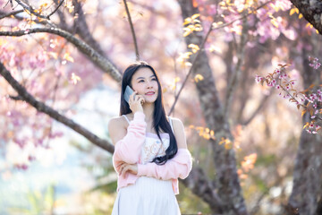 Beautiful woman using smartphone, talking, typing message, chatting, scrolling web page on mobile phone under the pink blossoms cherry tree. Woman selfie and look at camera on sakura background.