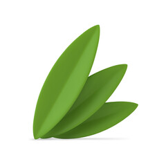 Green tropical leaves Easter botanical decorative element spring summer 3d icon realistic vector
