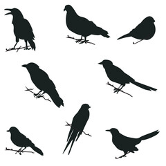 vector set of bird sillhouette in flat style various styles and shapes are perched on a branch, bird vector flat isolated on white background