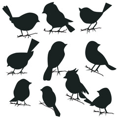 vector set of bird sillhouette in flat style various styles and shapes are perched on a branch, bird vector flat isolated on white background