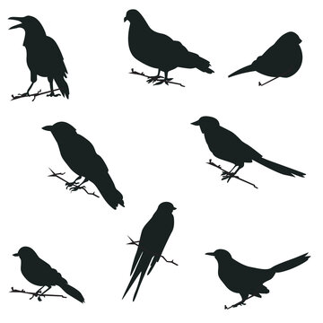 Vector Silhouettes Images – Browse 301 Stock Photos, Vectors, and