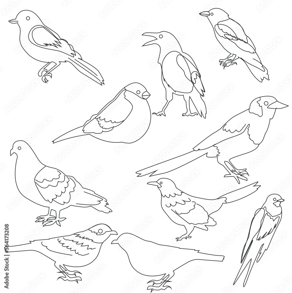 Poster vector set of bird line art in flat style various styles and shapes perched on a branch, bird vector