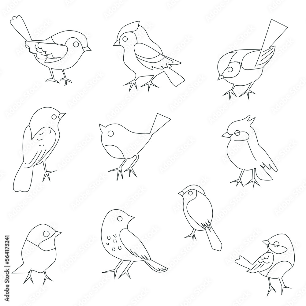 Poster vector set of bird line art in flat style various styles and shapes perched on a branch, bird vector flat isolated on white background