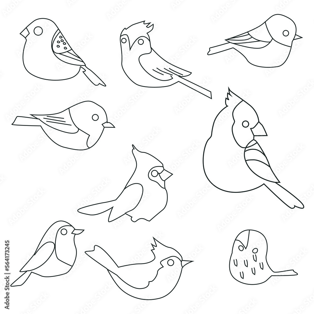 Poster vector set of bird line art in flat style various styles and shapes perched on a branch, bird vector