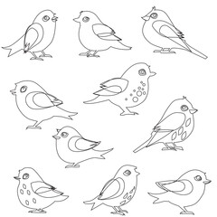 vector set of bird line art in flat style various styles and shapes perched on a branch, bird vector flat isolated on white background