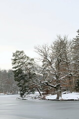Winter Bärensee bei Stuttgart