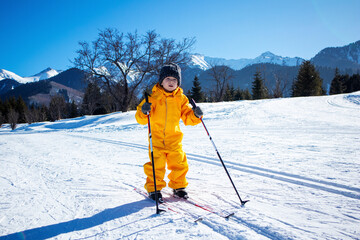 Fototapeta na wymiar cross-country skiing on the ski slope winter sports