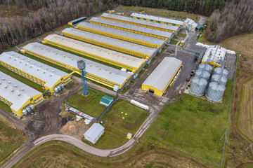 aerial view of rows of agro farms with silos and agro-industrial livestock complex