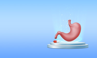 Check organ stomach 3D, healthcare, checking and analysis anatomical model of stomach is on blue background 