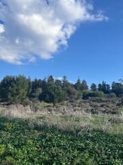 Obraz premium Paradise Landscape and sky