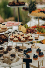 Dessert table for a party. Ombre cake, cupcakes, sweetness and flowers