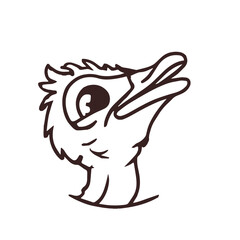 Ostrich Creative Design