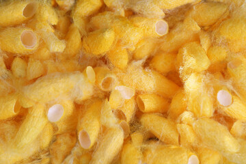 Close-up Thai Silk and Cocoon silk yellow