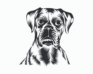 PrintBoxer Dog Vector illustration, Boxer Dog Vector on White Background