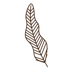 hand drawn shapes and floral leaf design elements. Exotic jungle leaves. Abstract contemporary modern