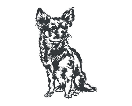 rosie memorial. | Dog tattoos, Dog silhouette, Chihuahua tattoo