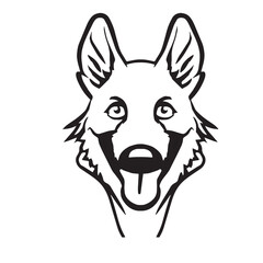 Belgian Shepherd