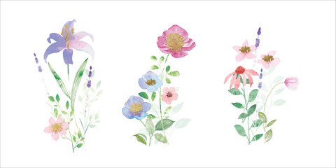 watercolor arrangements with small spring and summer flower. Botanical illustration minimal style.