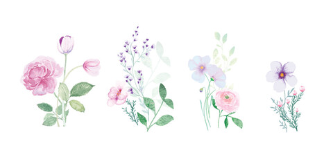 watercolor arrangements with small spring and summer flower. Botanical illustration minimal style.