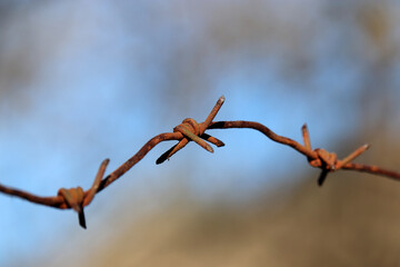 Rusty barbed wire on blurred background. Concept of boundary, prison or war