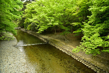 伊勢神宮の神秘的な風景