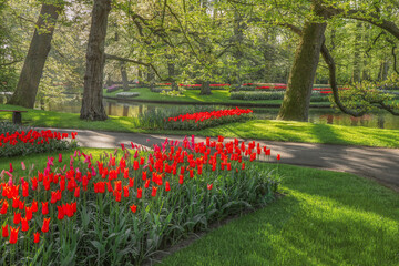Beautiful scenery in Keukenhof royal flower garden in the Netherlands with beautiful flowerbeds and...