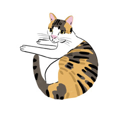 Fototapeta na wymiar Calico Cat sleeping Cute pet Hand drawn colour illustration