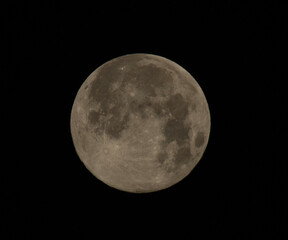The first full moon of January rose over the horizon, its silver light illuminating the world in a ghostly glow.