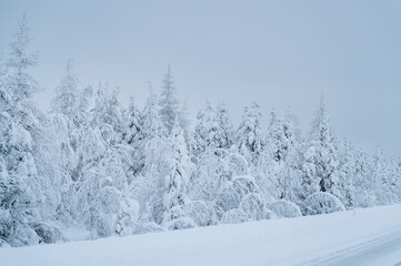 Winter in Lapland, side of snowy road