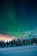 Beautiful winter night with Northern lights (aurora borealis) in the sky and deep snow covered...