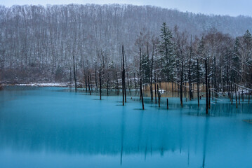 雪のある冬の青い池