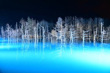 雪の降る冬にライトアップされる幻想的で美しい青い池