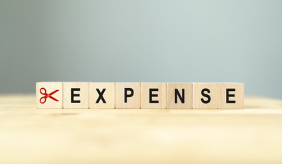 Cutting expenses and costs concept. Reducing expenses to maintain financial stability, help businesses achieve financial goals and stay profitable. Scissors cutting word expense on wooden blocks.