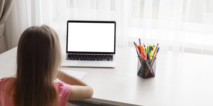 school at home through online homeschooling. the child is sitting at the computer