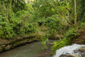 Uma Anyar waterfall, Bali, Indonesia. Jungle, forest, daytime with cloudy sky.
