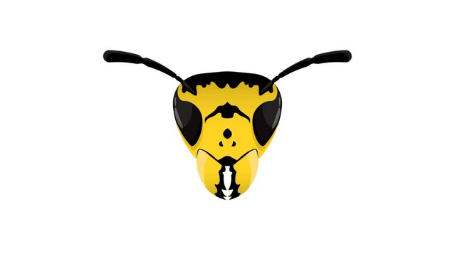 Animated realistic wasp, threatening hornet clicks jaws, turn head and moves whiskers. Dangerous insect predators. Cartoon looped video isolated on white background