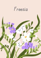 Spring postcard, delicate freesia flowers. Nature post card background design, beautiful blossomed floral plants, blooms and leaf. Interior poster with pretty wildflowers. Flat vector illustration - obrazy, fototapety, plakaty