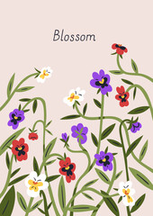Spring flowers, botanical post card design. Floral postcard background, delicate pretty blooming plants, beautiful summer wild pansies, gentle heartsease wildflowers. Colored flat vector illustration
