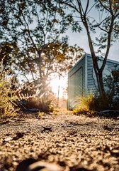 Morning sun through the garden