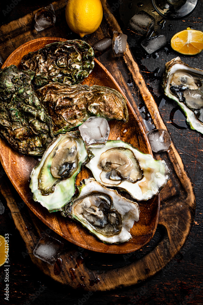 Sticker fresh oysters with ice on a wooden plate.