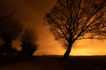 Fototapeta premium in the near of the town